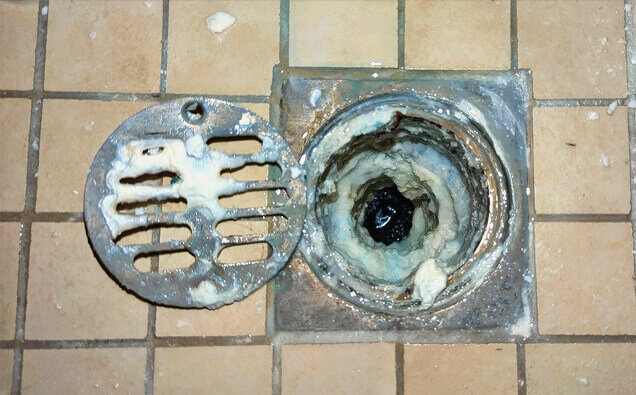 https://blockeddrainssorrento.com.au/uploads/2025/07/blocked-shower-drains-33151.jpg