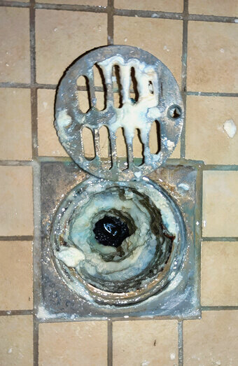 https://blockeddrainssorrento.com.au/uploads/2025/07/blocked-shower-drains-86331.jpg