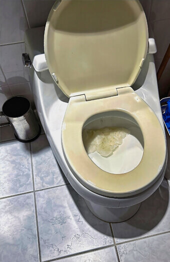 https://blockeddrainssorrento.com.au/uploads/2025/07/blocked-toilet-27293.jpg