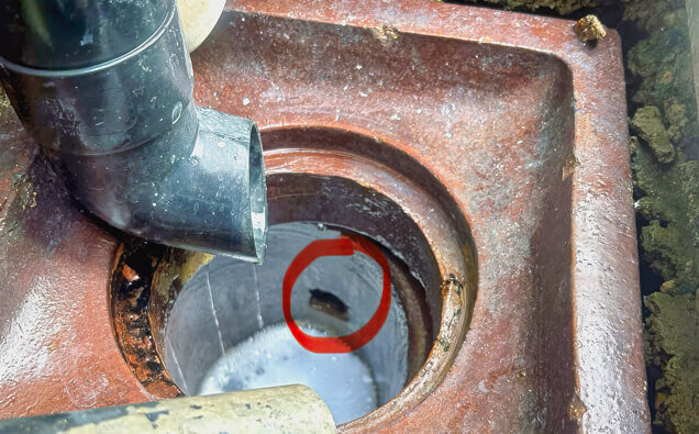 https://blockeddrainssorrento.com.au/uploads/2025/07/hero-blocked-sewers-17074.jpg